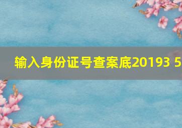 输入身份证号查案底20193 5